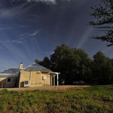 Peppermint Farm Cottage Mclaren Vale Exteriör bild